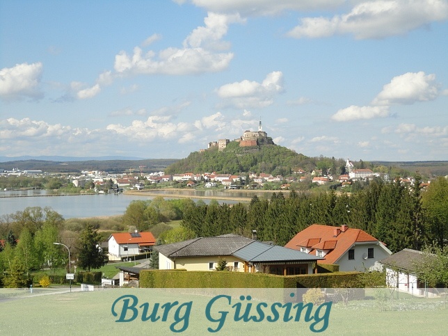 Burg Gssing