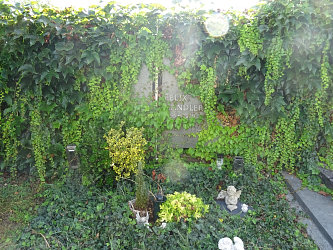 Friedhof Burgau (mit Burgauberg)