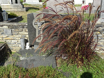 Friedhof Burgau (mit Burgauberg)