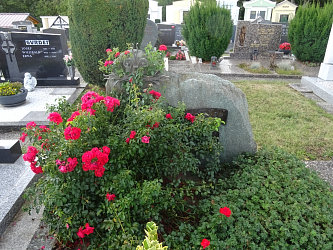 Friedhof Burgau (mit Burgauberg)