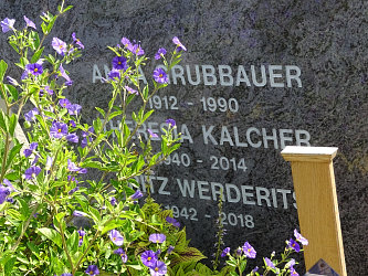 Friedhof Deutsch Kaltenbrunn