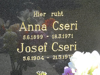 Friedhof Deutsch Tschantschendorf