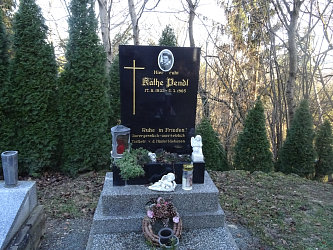 Friedhof Gssing
