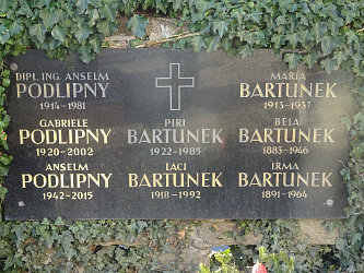 Friedhof Gssing