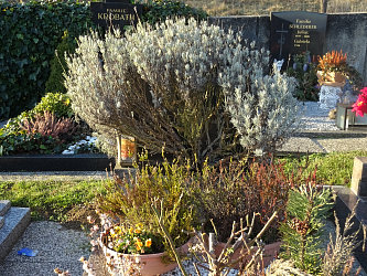 Friedhof Gssing