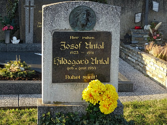 Friedhof Gssing