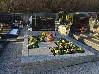 Friedhof Gssing