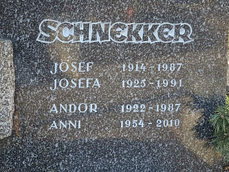 Friedhof Gssing