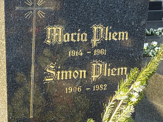 Friedhof Gssing
