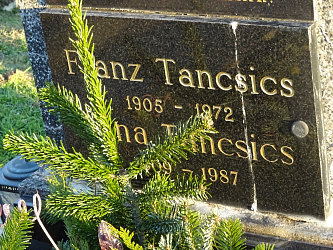 Friedhof Gssing