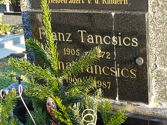 Friedhof Gssing