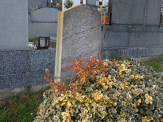 Friedhof Gssing