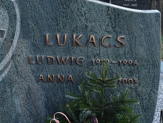 Friedhof Gssing