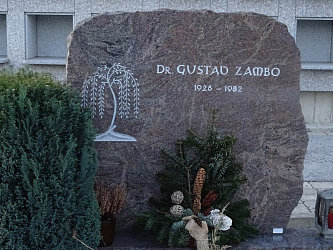 Friedhof Gssing
