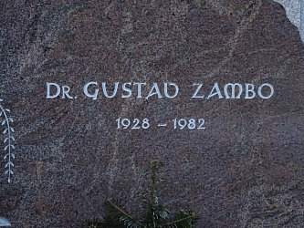 Friedhof Gssing