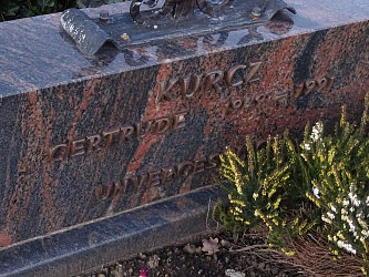 Friedhof Gssing