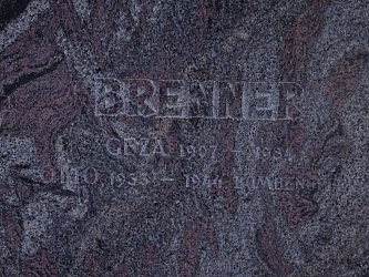 Friedhof Gssing