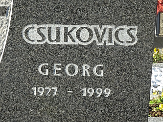 Friedhof Gssing