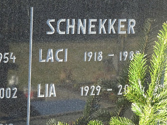 Friedhof Gssing