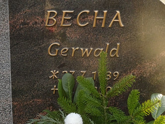 Friedhof Gssing