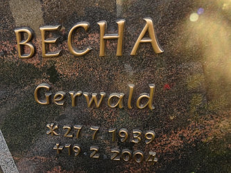 Friedhof Gssing
