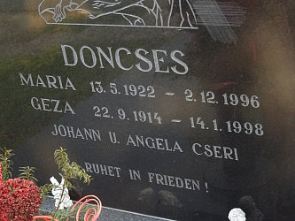 Friedhof Gssing