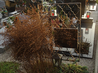 Friedhof Gssing