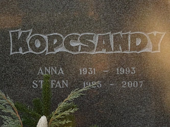 Friedhof Gssing