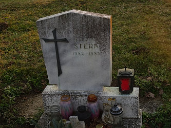 Friedhof Gssing