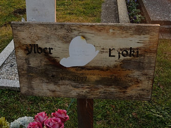 Friedhof Gssing