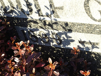 Friedhof Heiligenkreuz im Lafnitztal