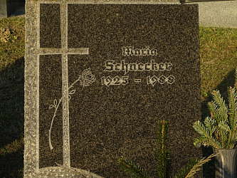 Friedhof Krottendorf bei Gssing