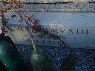 Friedhof Krottendorf bei Gssing