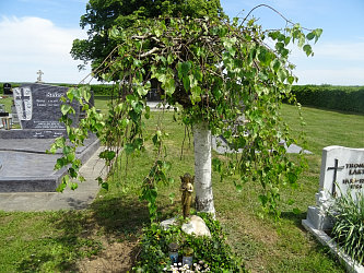 Friedhof Moschendorf
