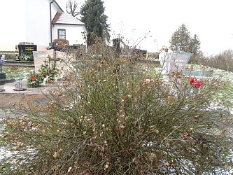 Friedhof Neusiedl bei Gssing