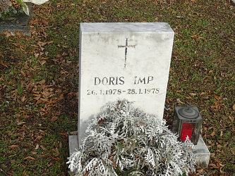 Friedhof Neusiedl bei Gssing