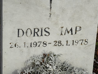 Friedhof Neusiedl bei Gssing