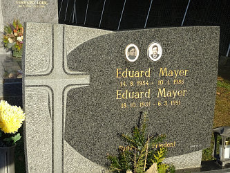 Friedhof Neustift bei Gssing