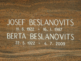 Friedhof Neustift bei Gssing