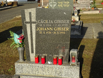 Friedhof Neustift bei Gssing