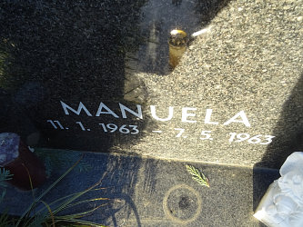 Friedhof Neustift bei Gssing