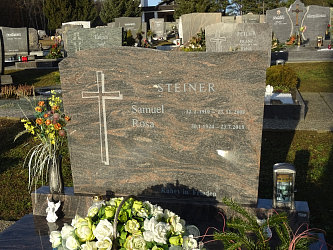 Friedhof Neustift bei Gssing