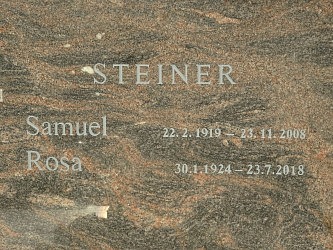 Friedhof Neustift bei Gssing