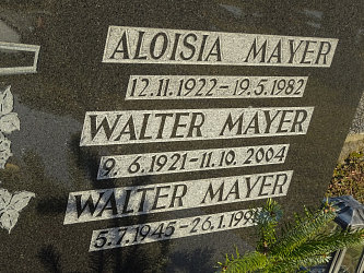 Friedhof Neustift bei Gssing