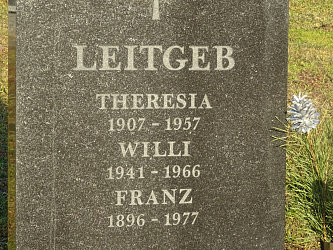 Friedhof Neustift bei Gssing