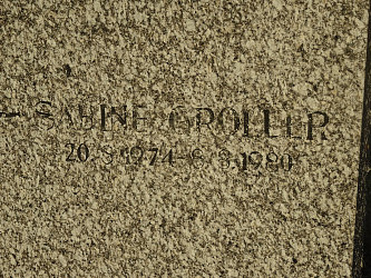 Friedhof Neustift bei Gssing