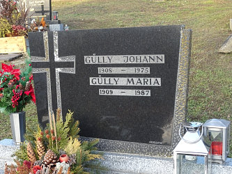 Friedhof Neustift bei Gssing