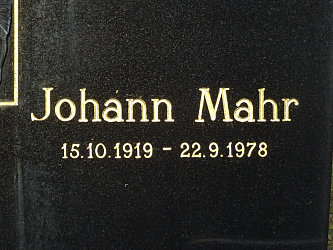 Friedhof Neustift bei Gssing