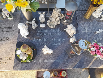 Friedhof Neustift bei Gssing