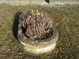 Friedhof Poppendorf